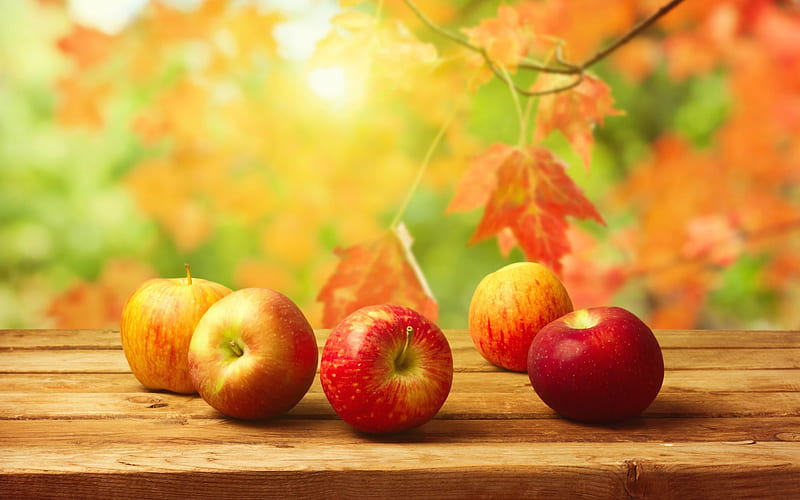 fall apples-, HD wallpaper