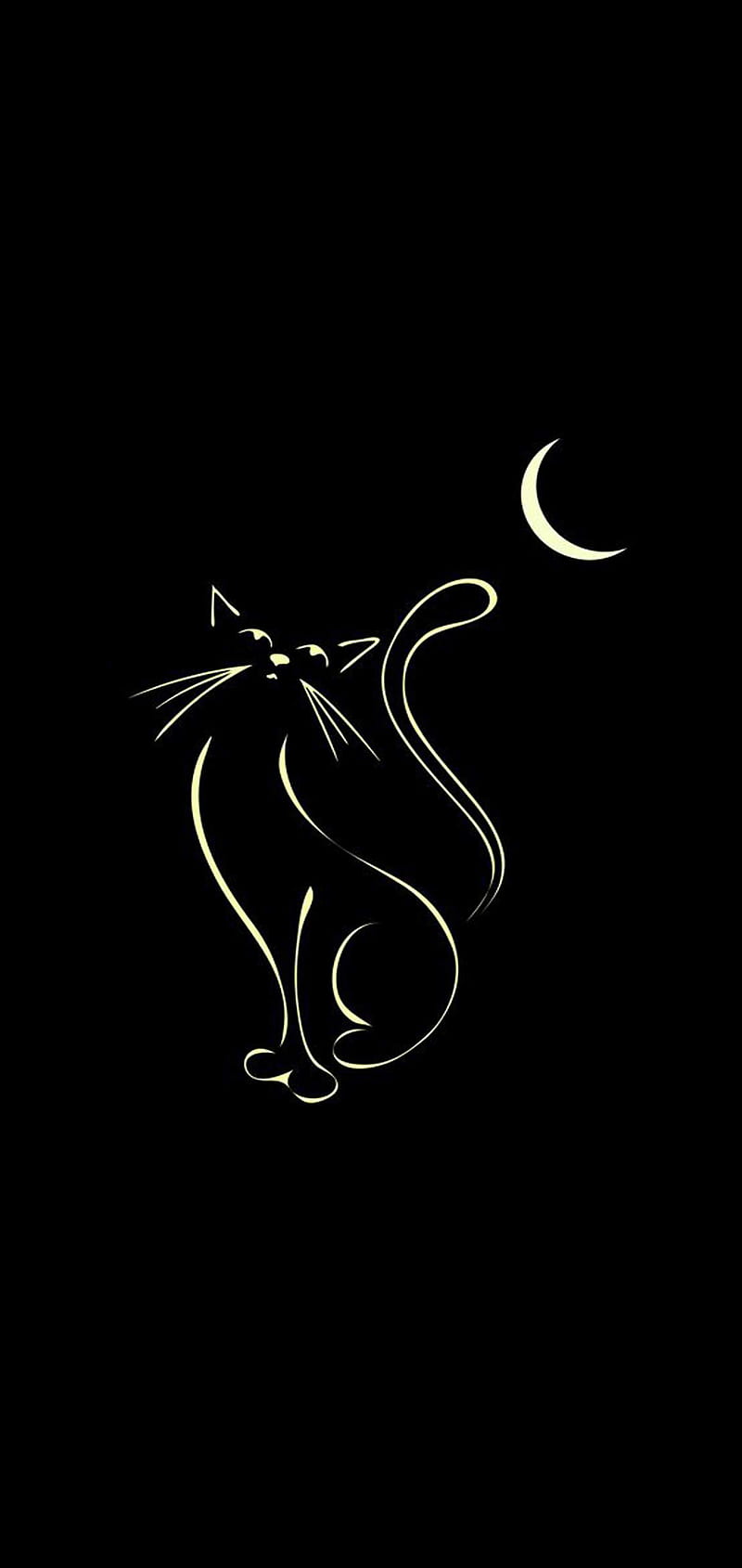 Cat in black, abstract, android, apple, galaxy huawei, iphone, note, samsung, wall, HD phone wallpaper