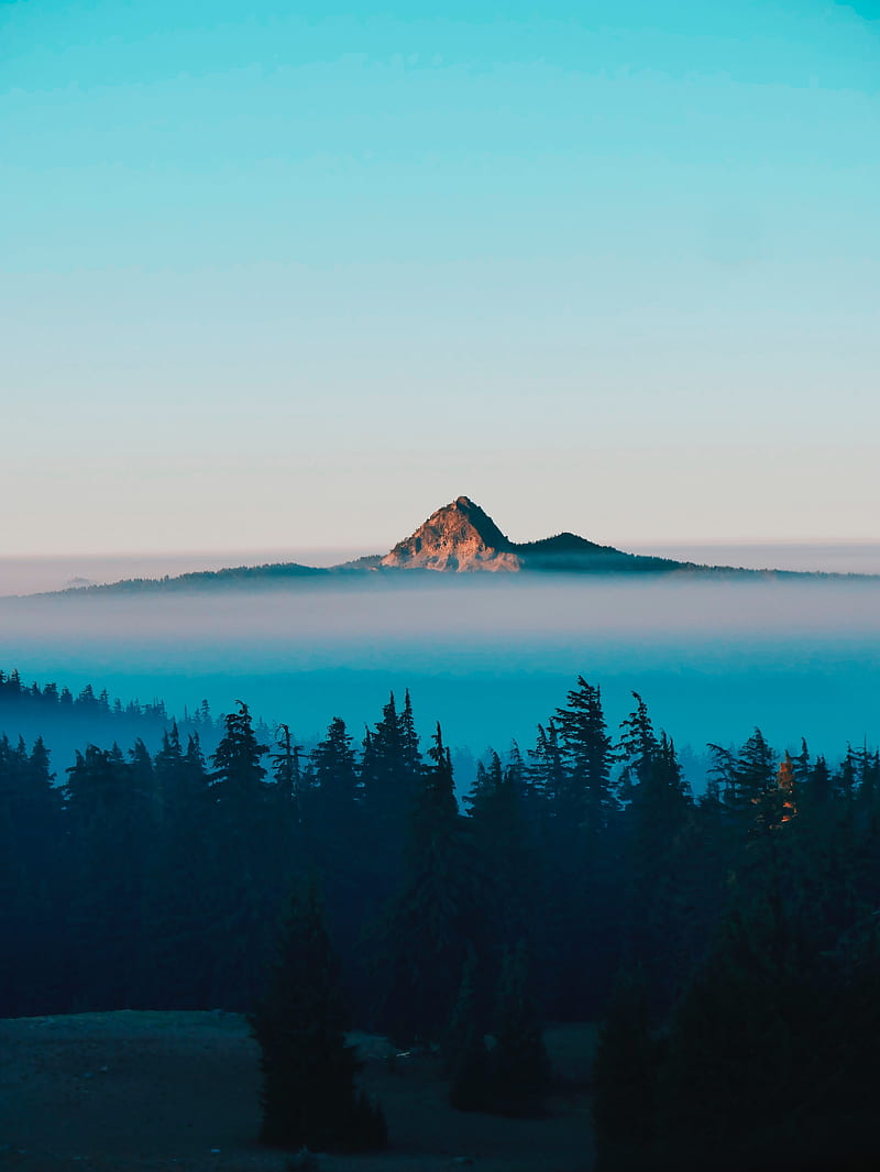 mountain peak, trees, foggy, clear sky, Landscape, HD phone wallpaper