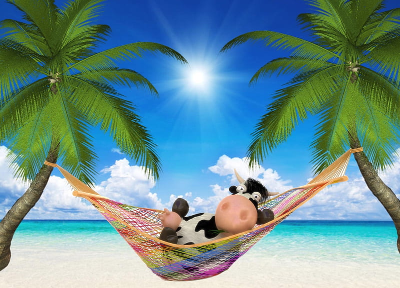 Cow on Vacation, ocean, trees, hammock, palm trees, cute, Sea, Cow, summer, funny, tropical, HD wallpaper