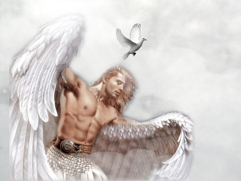 Angel Aware, brown, clouds, silver, heaven, gris, blue, Holy Spirit, wings, male, angel, black, blonde, sky, holy, warrior, dove, white, HD wallpaper