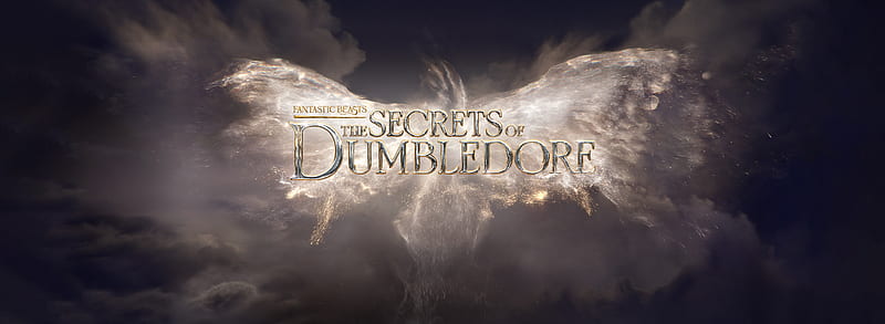 Hogwarts Professors Wallpaper: Albus Dumbledore Wallpaper | Albus dumbledore,  Albus dumbledore costume, Hogwarts professors