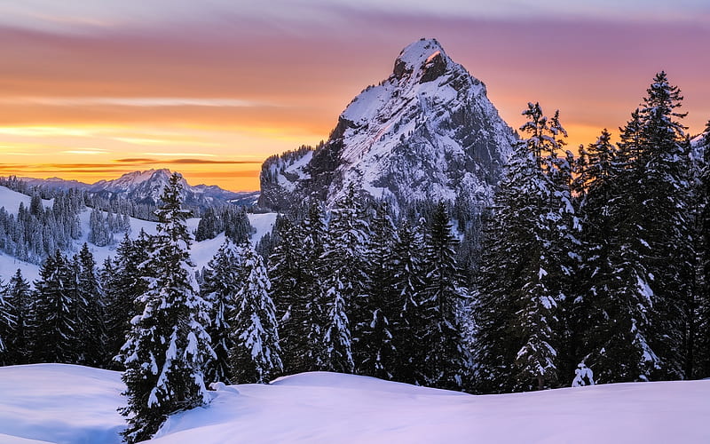 winter landscape, mountains, sunset, forest, snow, winter forest, HD wallpaper
