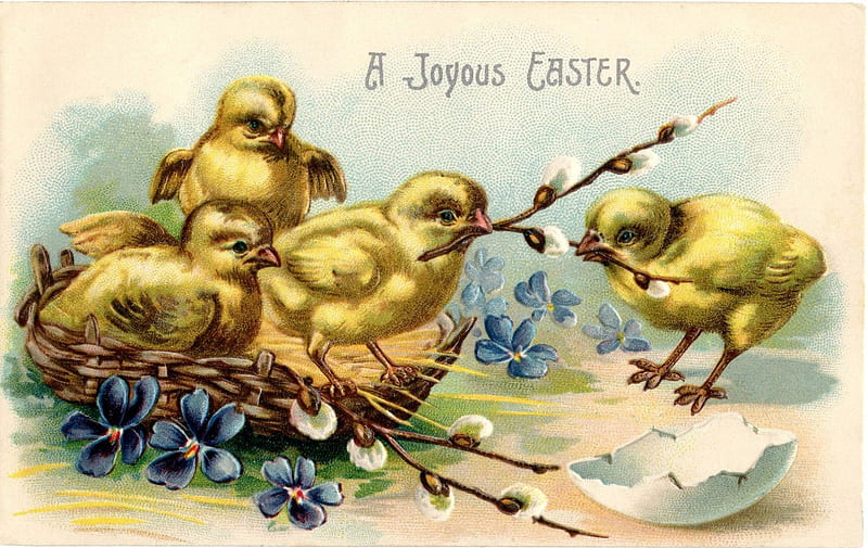 A Joyful Easter, blossoms, postcard, chicks, artwork, vintage, HD wallpaper