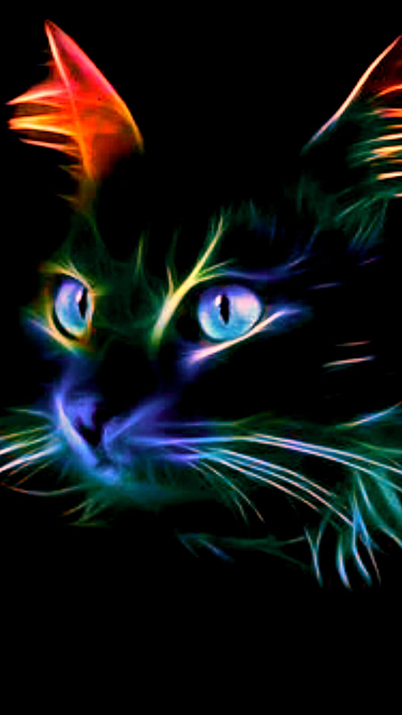 Cute Neon Glowing Kitten Free Stock Photo | picjumbo