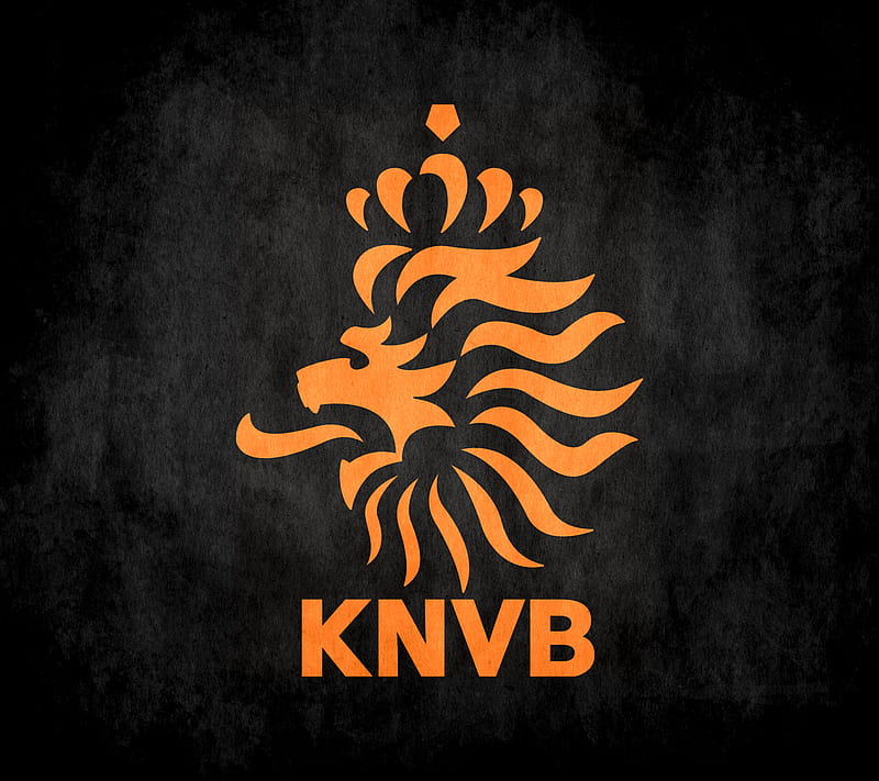 Holland KNVB, de, jong, nederlands, netherlands, persie, robben, van, HD wallpaper