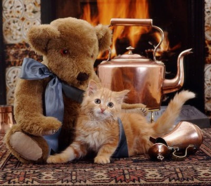 By the Fireplace, teapot, fireplace, teddy bear, cat, kitten, HD wallpaper