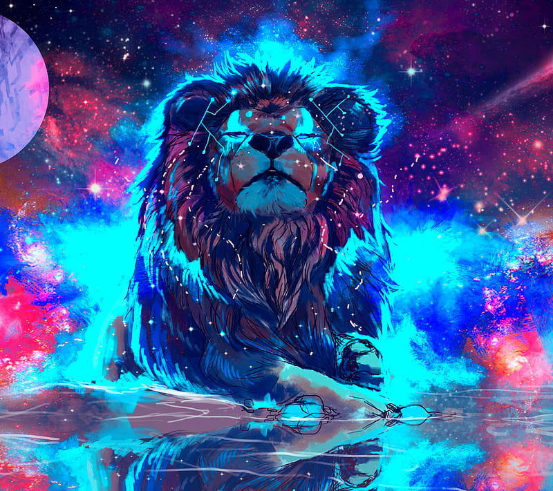 Lion, colors, HD wallpaper