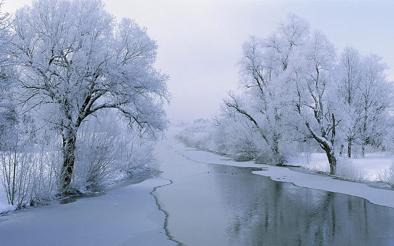 Dreamy Winters, trees, weather, cold, monochromatic, snow, nature, misty, river, reflection, HD wallpaper