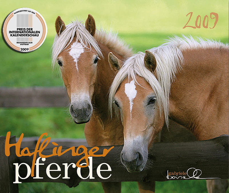 Haflinger Horses, animals, horses, austrian horse, haflinger horse, HD wallpaper