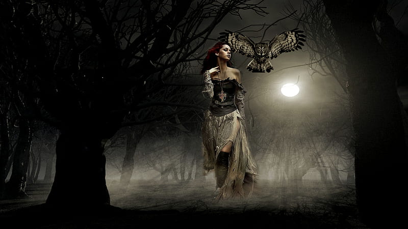 Creative graphy Almost There, owl, forest, bold, women are special, escape, run, women are a mystery, creative graphy, running, misty, lafemme portrait, female trendsetters, night, daring, HD wallpaper