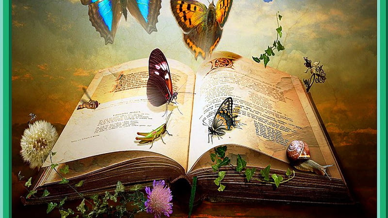 book-of-knowledge-book-fantasy-magic-butterflies-art-hd-wallpaper