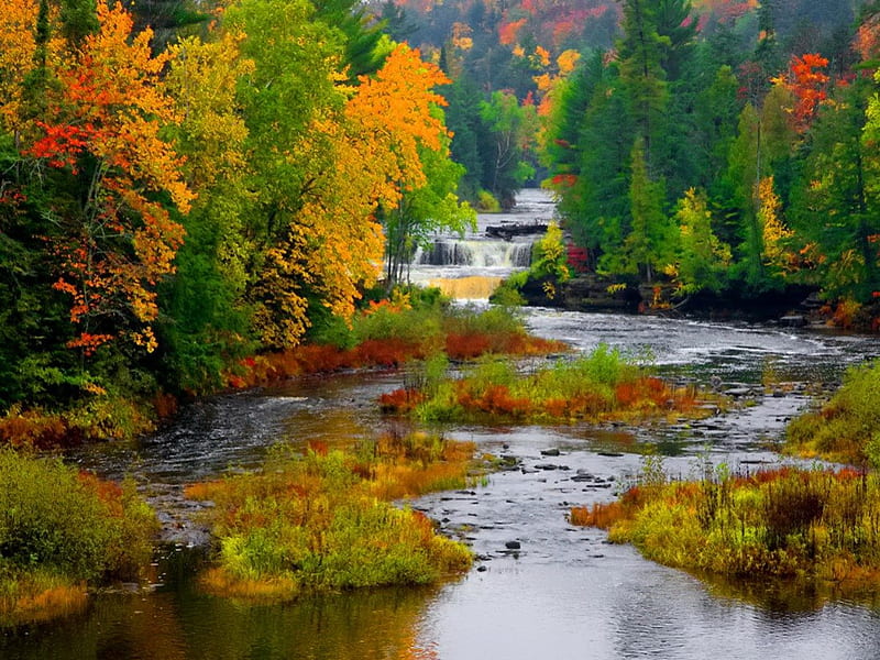 Lower Tahquamenon falls, stream, fall, pretty, colorful, falling ...