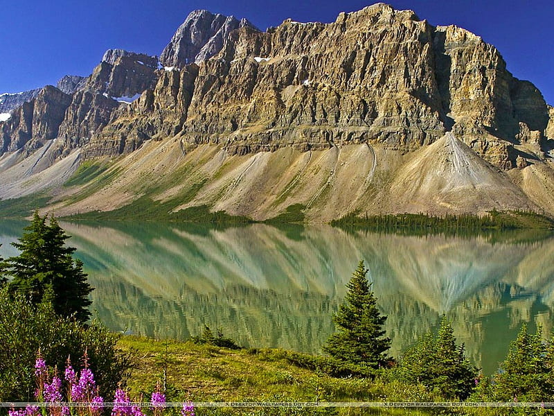 Bow Lake And Flowers Banff National Park Alberta Canada C25, mountain ...