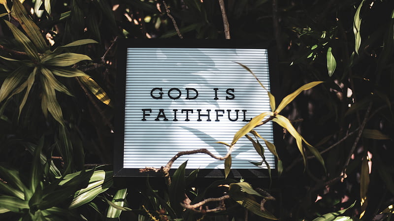 God is Faithful signage with leaved background, HD wallpaper