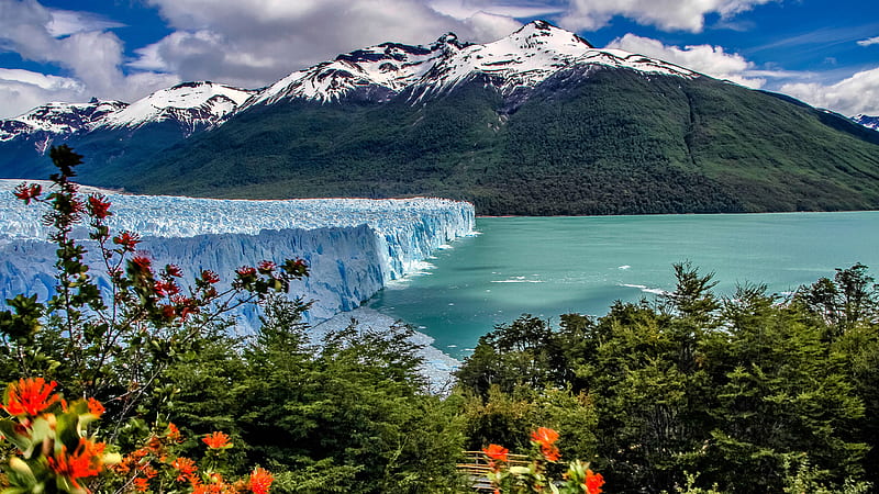 Landscape Of White Green Covered Mountains Argentino Bush Glacier Lake In Los Glaciares National Park Nature, HD wallpaper