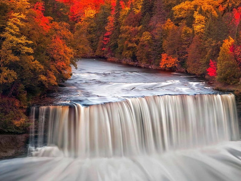 Tahquamenon Falls in Michigan, Water, Red Trees, Forest, Red, Orange, Burnt, Waterfall, Autumn, Beauty, HD wallpaper