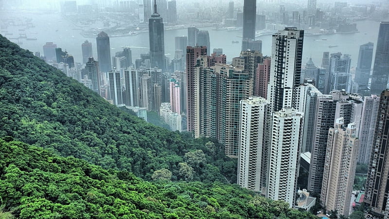 hong kong skyscrapers by a forested mountain r, mountain, forest, city, r, fog, skyscrapers, HD wallpaper