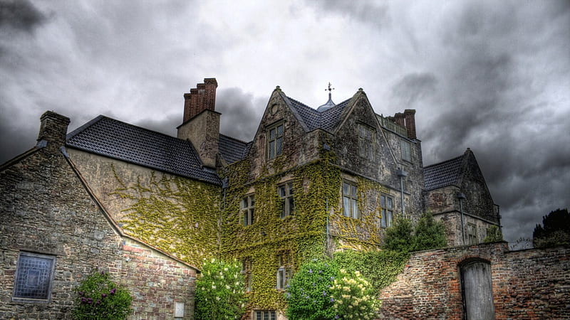 lovely english manor house r, house, chimneys, r, overcast, ivy, HD wallpaper