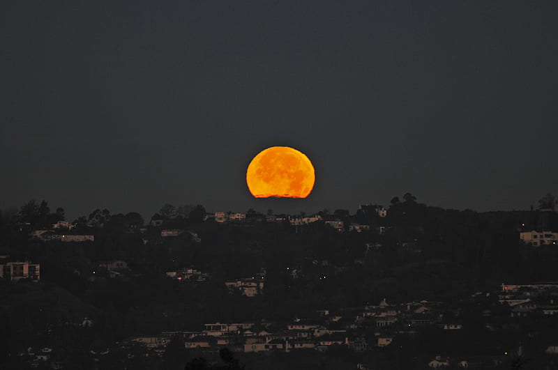 Moonset Silhouette - Nature's Beauty