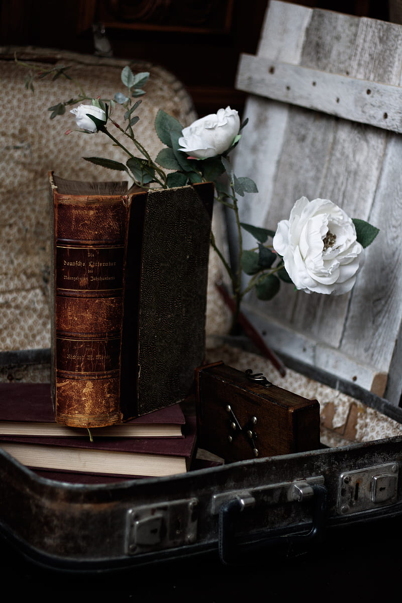 roses, flowers, book, vintage, aesthetics, HD phone wallpaper