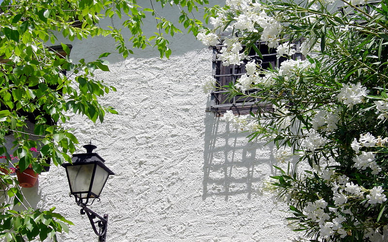 cadiar granada, lamp, granada, flowers, cadiar, white, wall, HD wallpaper