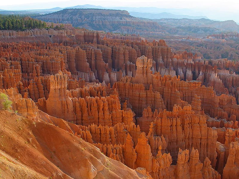 BRYCE CANYON, red, nature, canyon, mountains, HD wallpaper