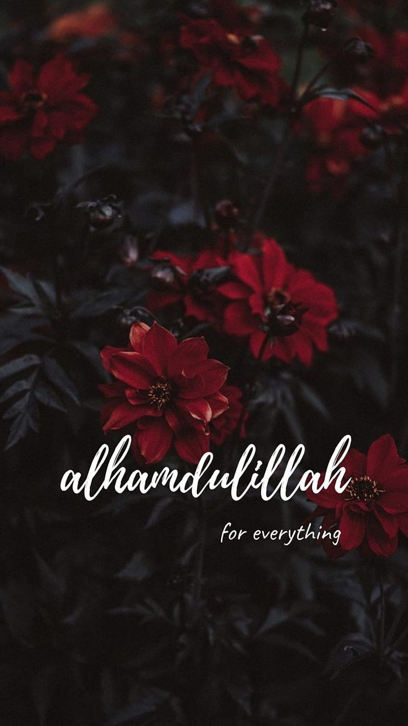 Alhamdulillah, everything, for, HD phone wallpaper | Peakpx