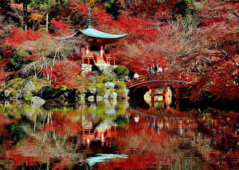 Bentendo-japan, red, tree, japan, bentendo, HD wallpaper | Peakpx