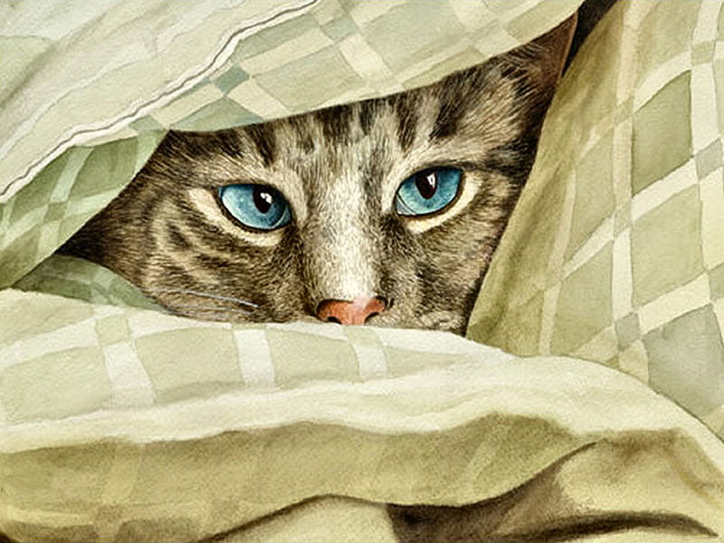 Peek A Boo F, strouble, art, feline, tabby, drew strouble, painting, cat, kitten, HD wallpaper
