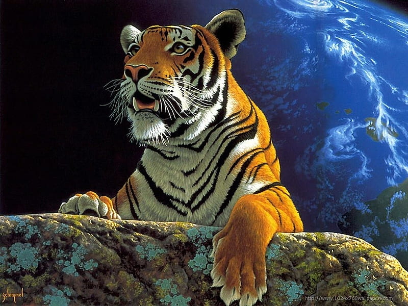 cats-best-fantasy-tiger-regulation-majestic-high-art-siberian-black-cat-halloween , Stein, Tiger, Mond, Deutschland, HD wallpaper