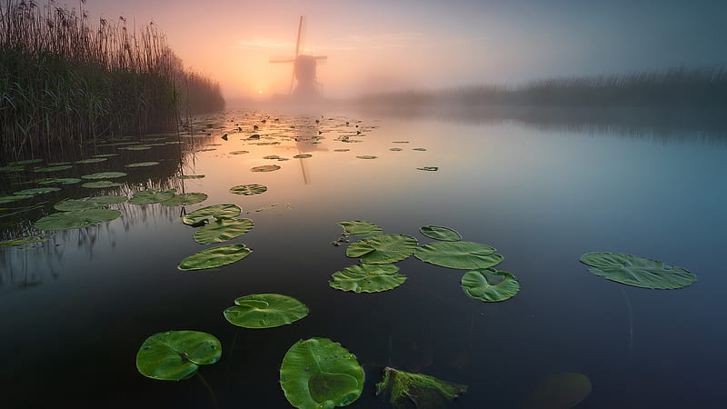 Earth, River, Windmill , Lily Pad , Fog, HD wallpaper