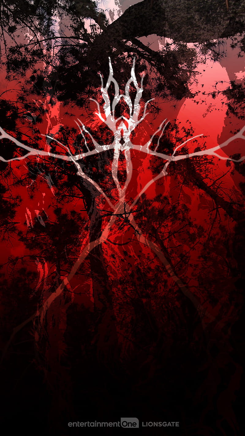 Blair Witch Trapped Horror Scary Blair Hd Phone Wallpaper Peakpx 4776