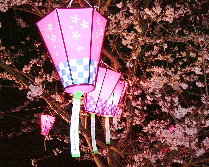Paper Lanterns, lanterns, nice, paper, pink, HD wallpaper