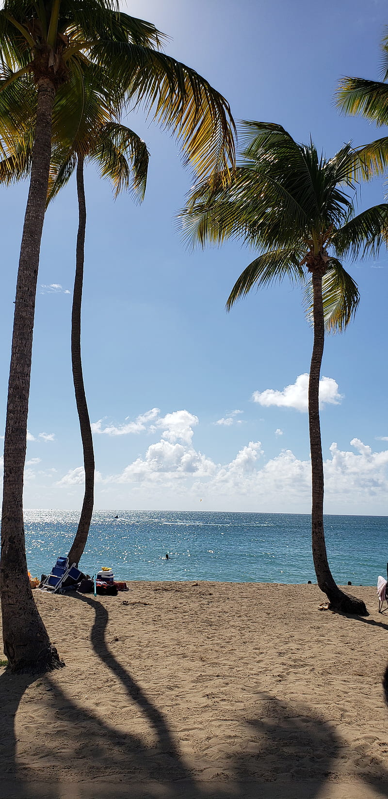 Puerto Rico, beach, HD phone wallpaper