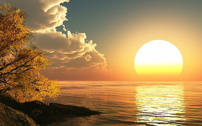 Sun Rise, sun, water, moring, rise, bright, yellow, nature, trees, HD wallpaper