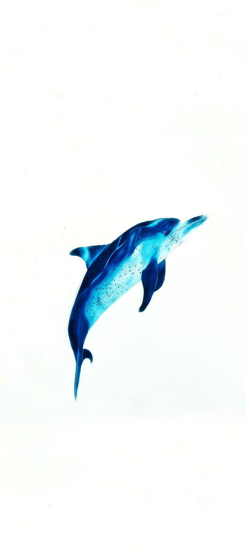 Dolphin, iphone, iphone x, maldives, sea, sealife, HD phone wallpaper