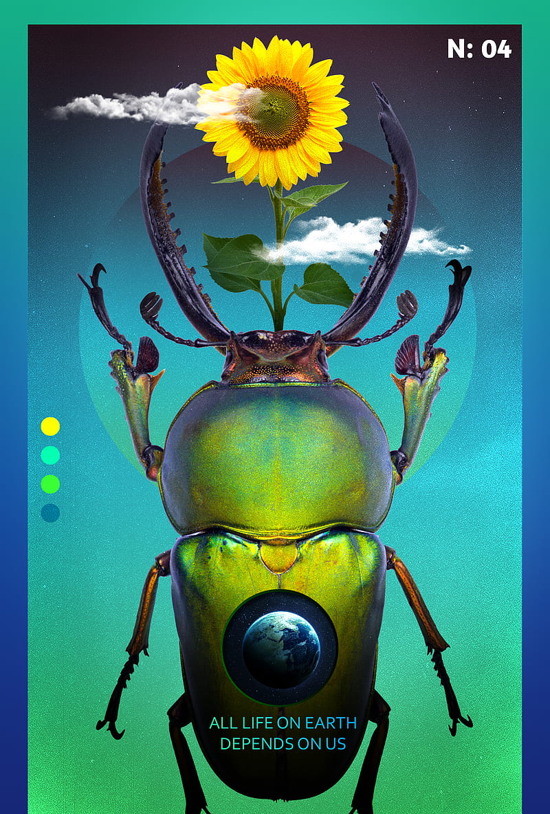 globe, insect, HD phone wallpaper
