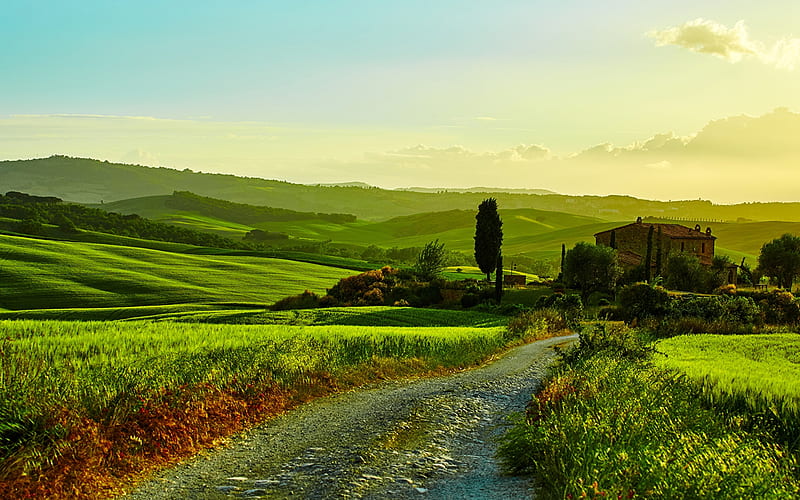 Tuscany, roads, graphy, grasslands, green, Italy, fields, nature, HD wallpaper