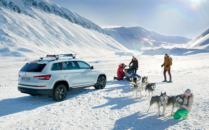 Skoda Kodiaq, 2018, exterior, rear view, new white Kodiaq, mountains, winter, snow, dog sled, husky, ession, Skoda, HD wallpaper