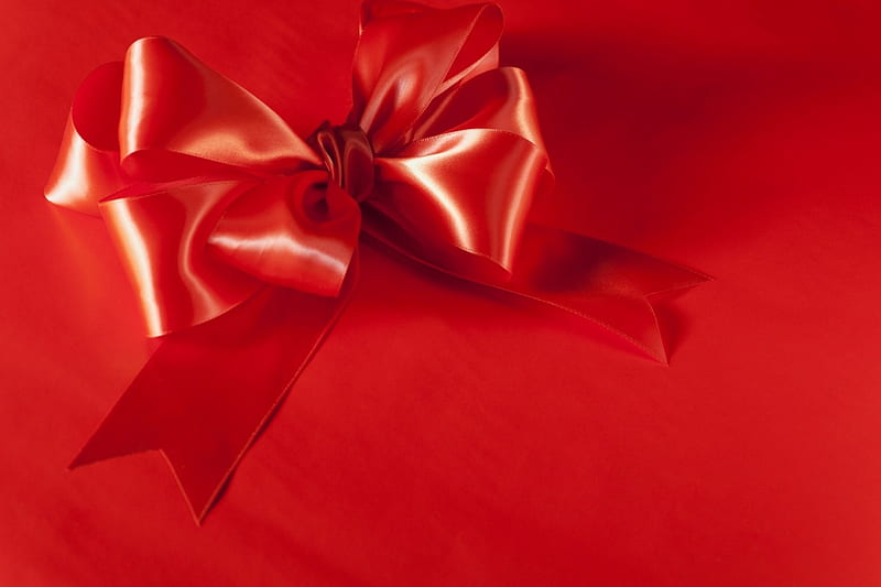 Red bow, red, bow, valentine, holiday, HD wallpaper | Peakpx