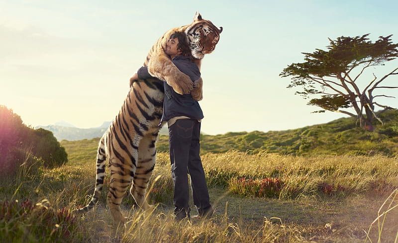 Tiger, Man Ultra, Animals, Wild, Nature, Love, Tiger, Animal, conservation, HD wallpaper