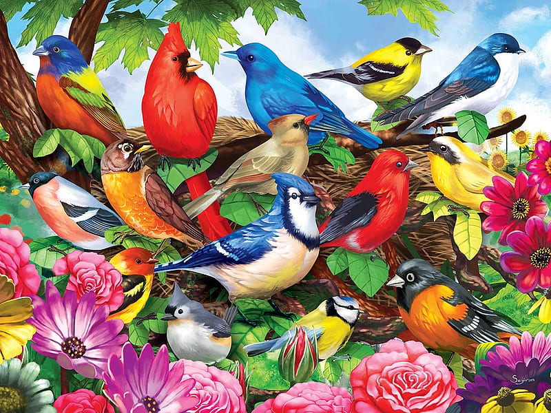 Friendly Birds, colors, birds, jigsaw, song, HD wallpaper