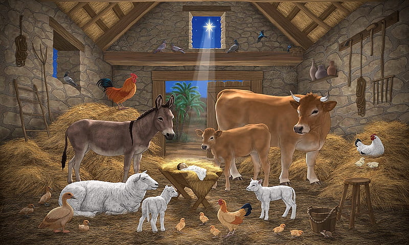 Christmas Manger, manger scene, christian, Holy night, Animals, cows, JESUS Christ, Christmas, holidays, sheep, Birth, HD wallpaper