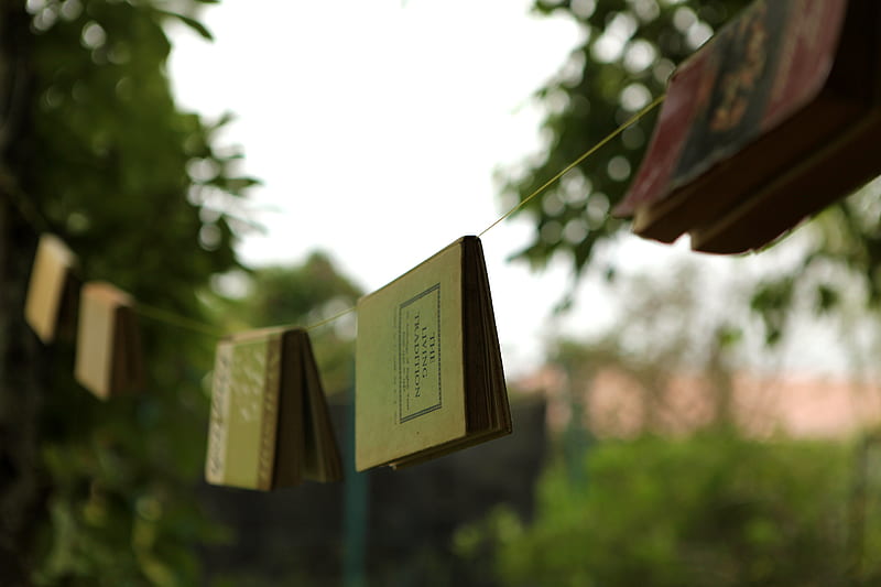 Close-Up of Book Hanging On Clothes Line, HD wallpaper