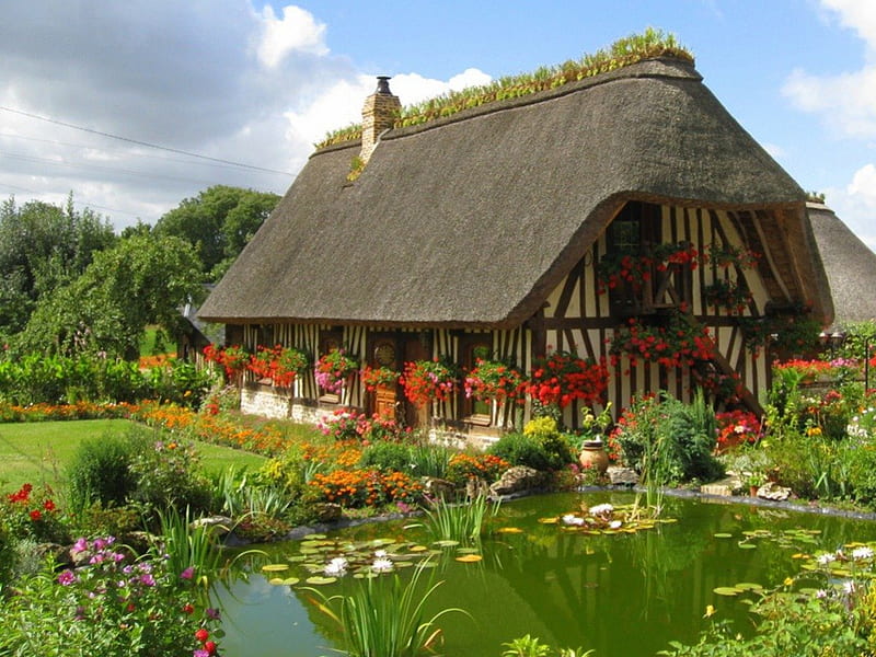 Cottage with Large Pond, pond, house, roof, cottage, english, flowers, garden, thatched, HD wallpaper