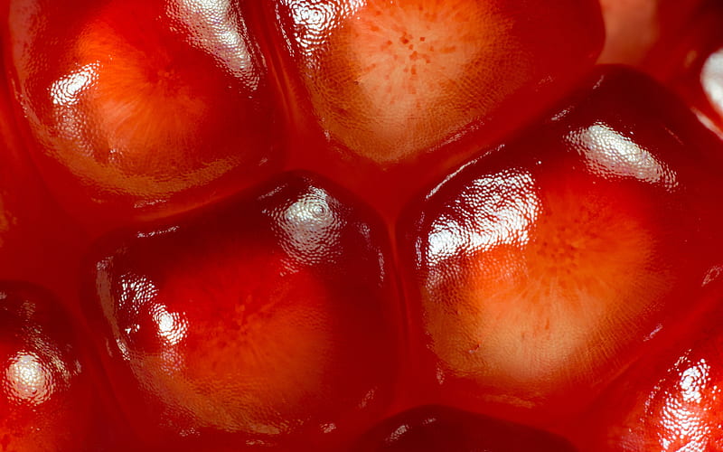 Fruits, Pomegranate, Close-Up, Fruit, HD wallpaper