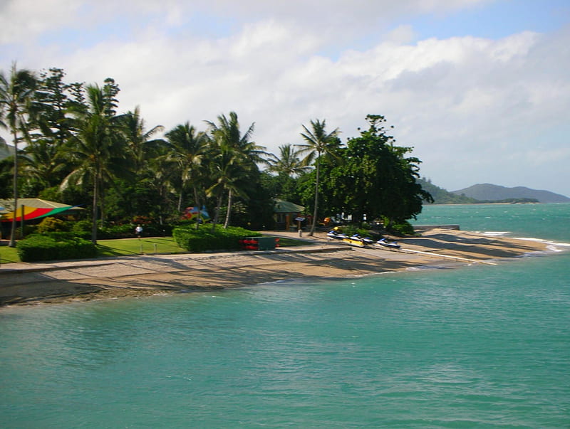 Daydream Island, clear water, holiday, australia, island, tropical, jetskis, palms, HD wallpaper