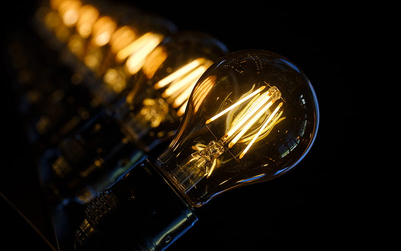 light bulbs, black background, idea concepts, business, light concepts, HD wallpaper