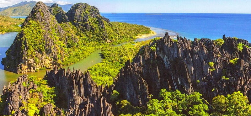 Rock Island Estuary, New Caledonia, forest, bonito, trees, beach, erosion, Melanesia, mountains, Pacific Ocean, river, HD wallpaper